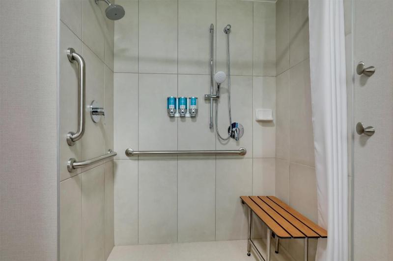 King Suite with Sofa Bed - Accessible, Roll-in Shower image 2