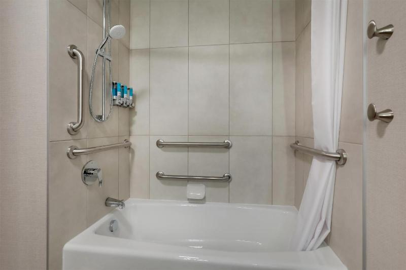 King Suite with Sofa Bed - Accessible, Tub image 2