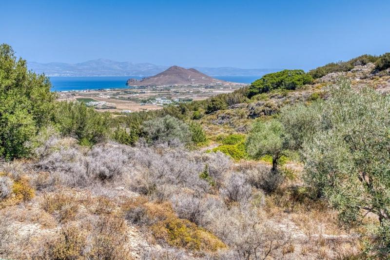 Villa Kryvo - Quiet retreat - image 8