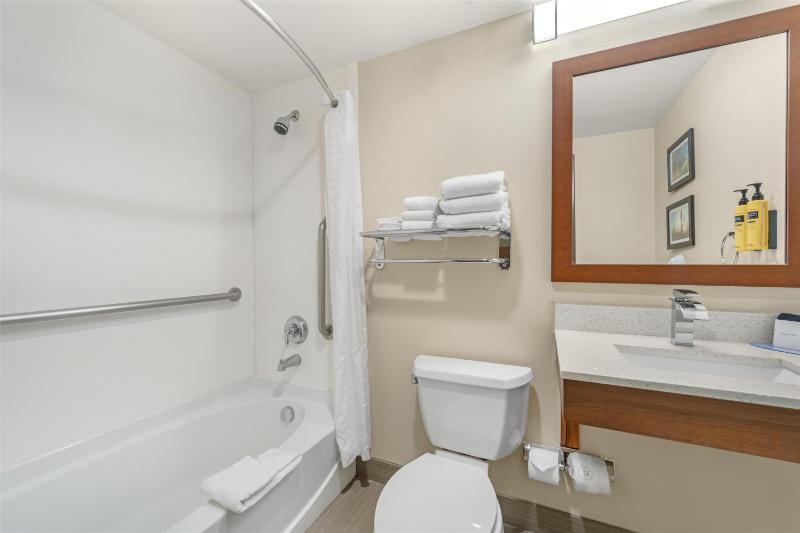 Large King Suite - Non-Smoking image 1