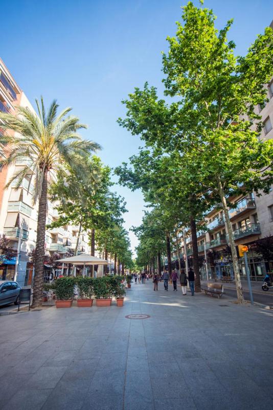 Deluxe Apartment image 3