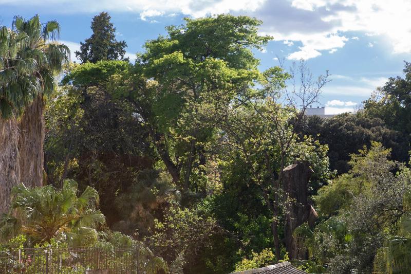 Apartment with Garden View image 2