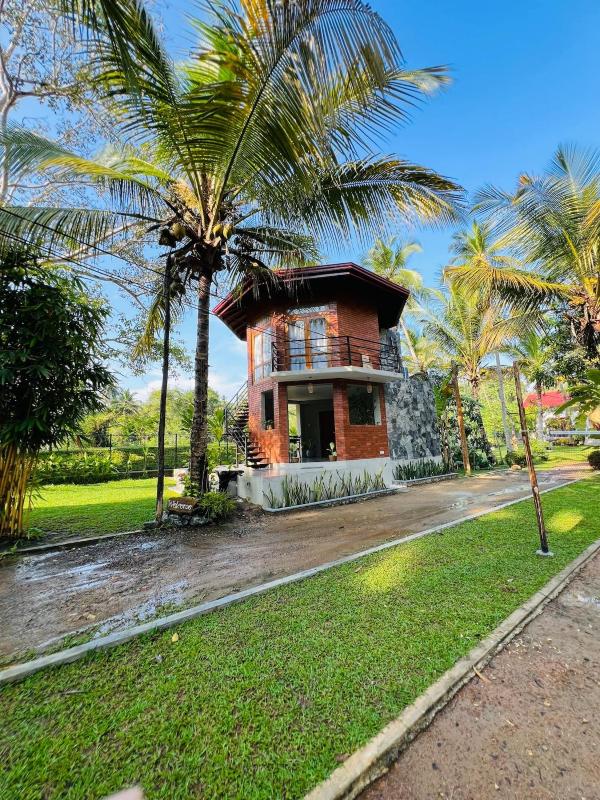 Romantic Jungle Hideaway - image 16