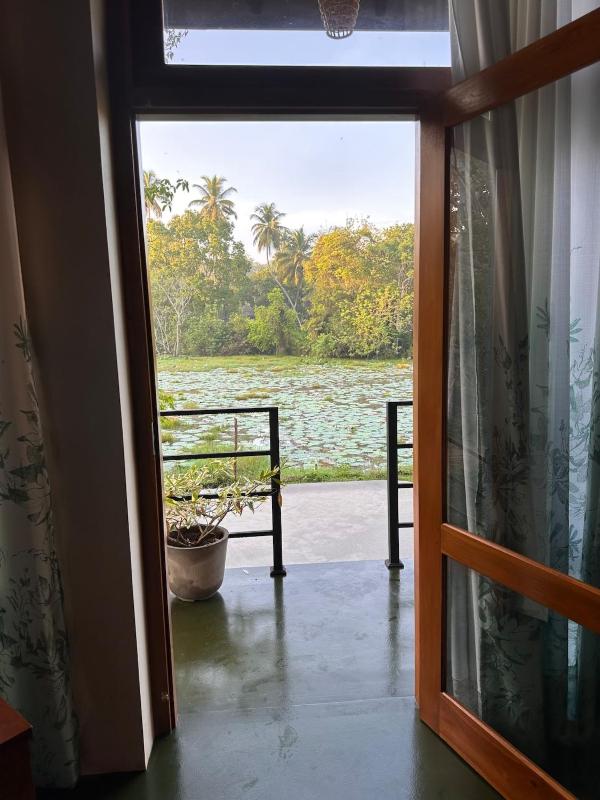 Romantic Jungle Hideaway - image 19