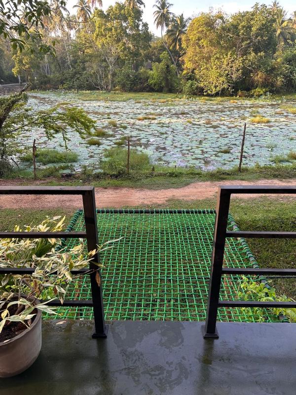 Romantic Jungle Hideaway - image 13