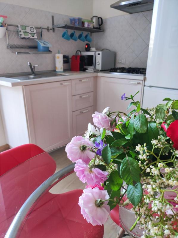 One-Bedroom House image 4