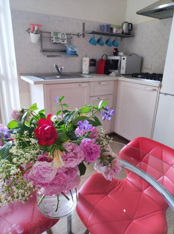 One-Bedroom House image 3