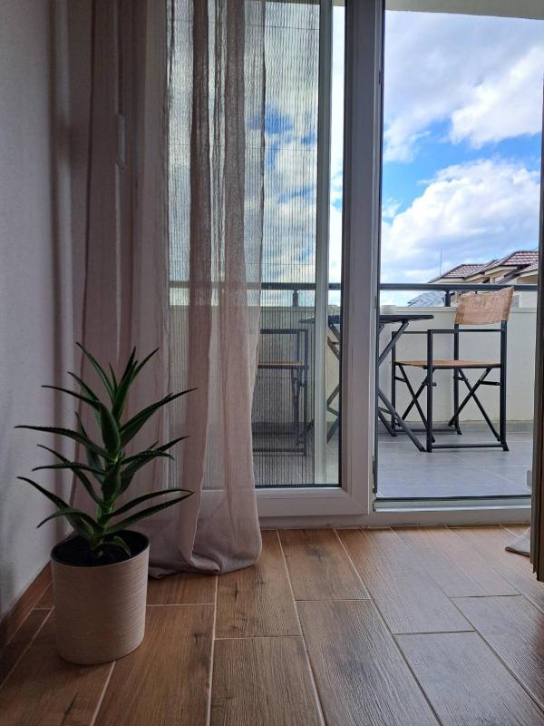MIL apartment Sokobanja - image 10