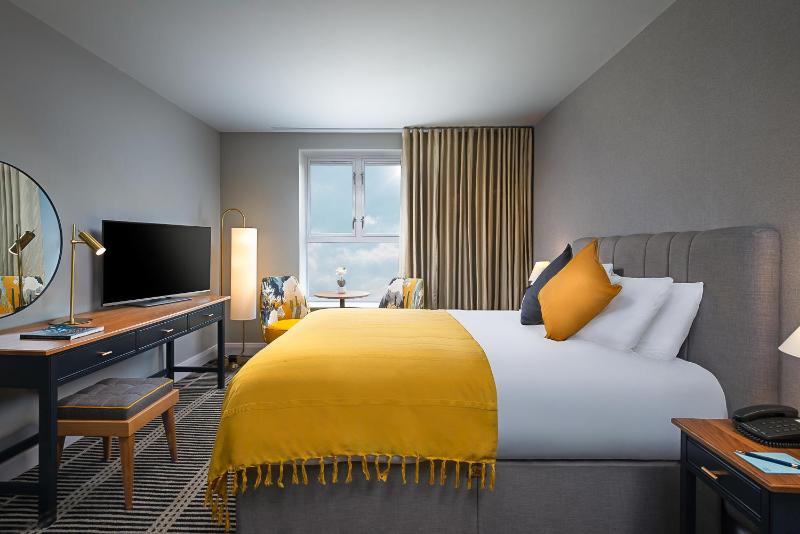Deluxe King Room image 1