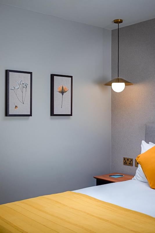 Deluxe King Room image 2