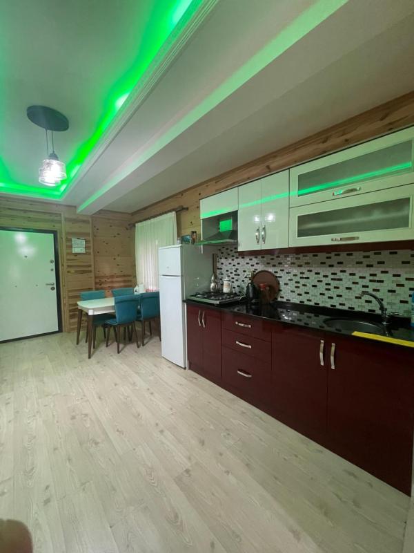 Deluxe Apartment image 4