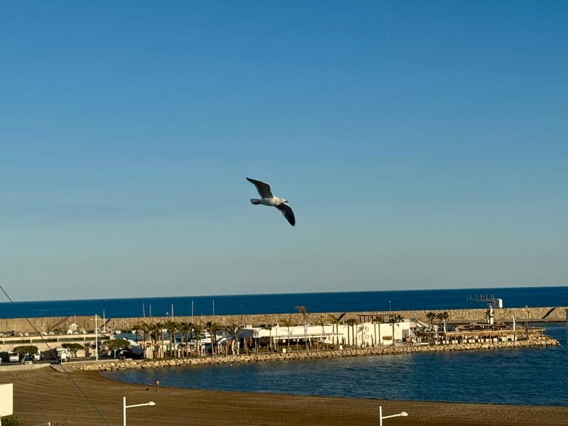 Antana Somhome - image 6