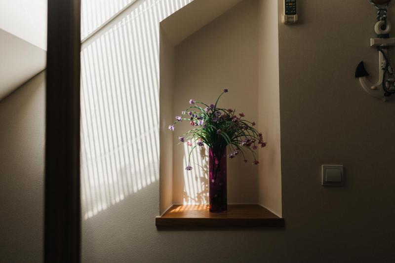 Duplex Studio image 4