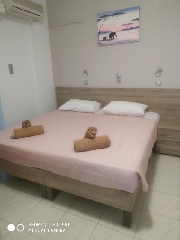 One-Bedroom Apartment (4 Adults) image 2