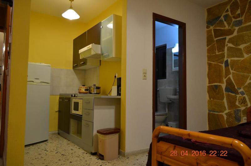 Studio with Terrace image 2