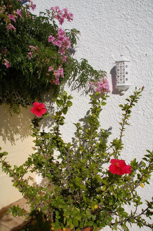 Villa Sorriso - image 15