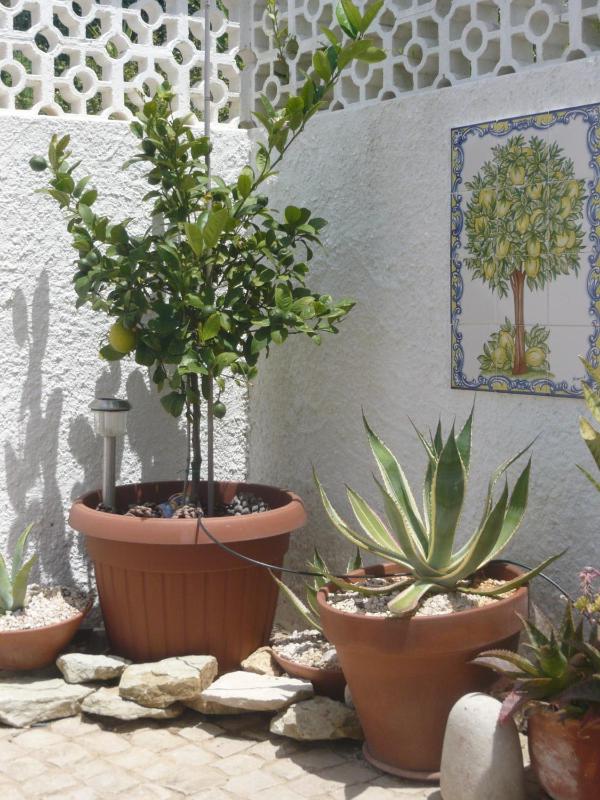 Villa Sorriso - image 42