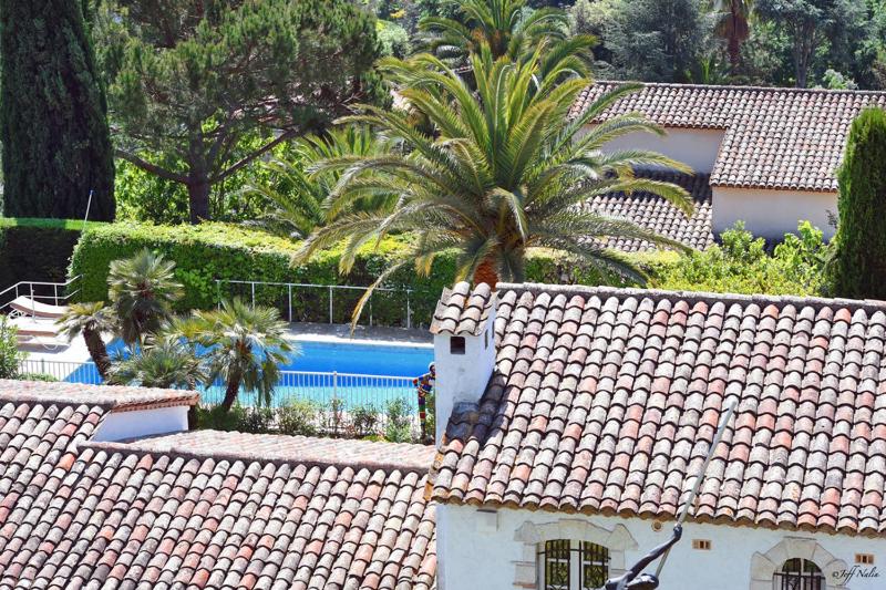 Family Suite image 4