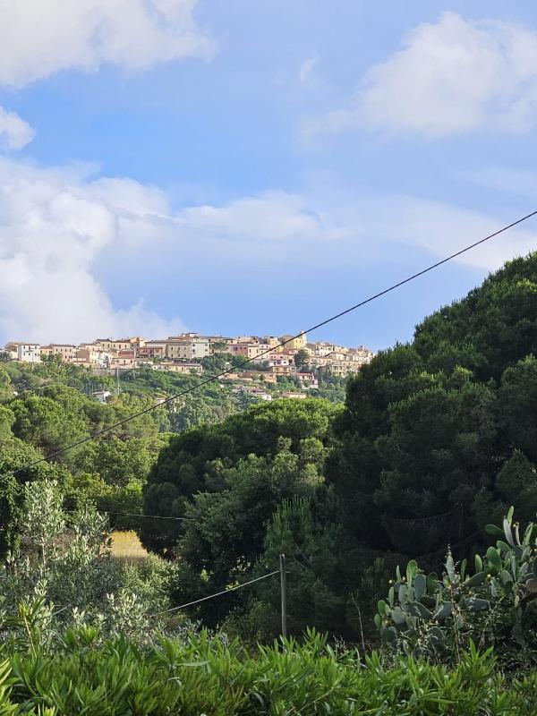 A Casa di Titti - Goelba - image 14
