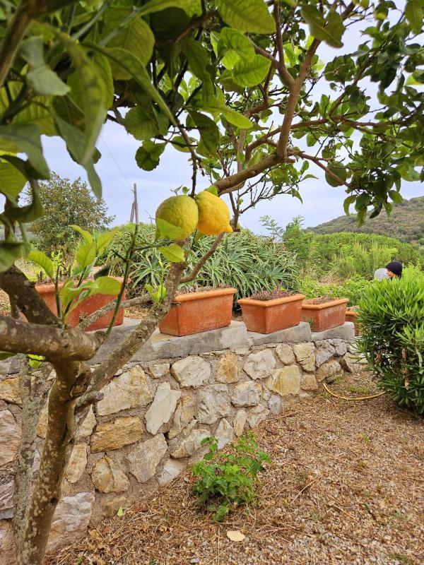 A Casa di Titti - Goelba - image 4