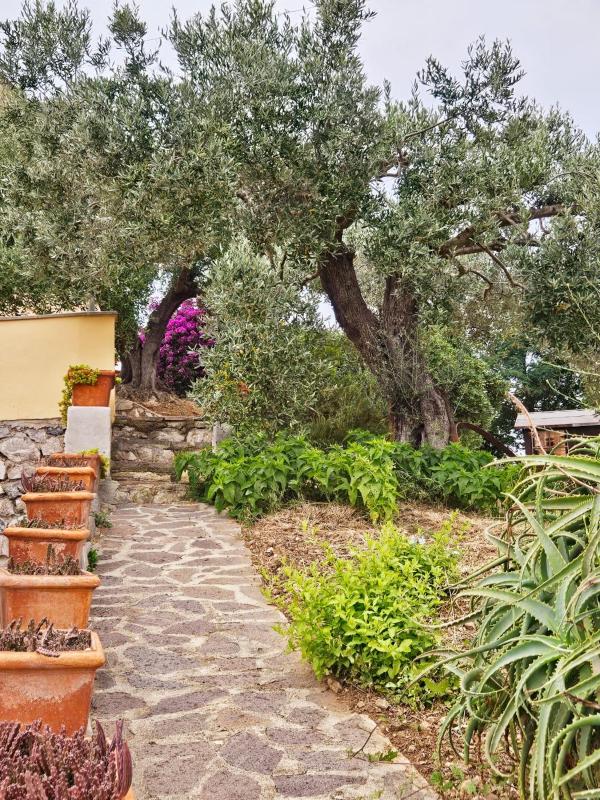 A Casa di Titti - Goelba - image 18