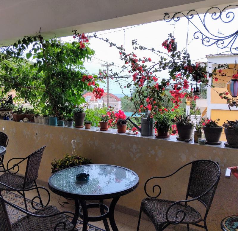 Harmony resort - image 35