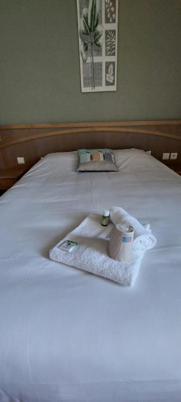 Comfort Double Room image 4