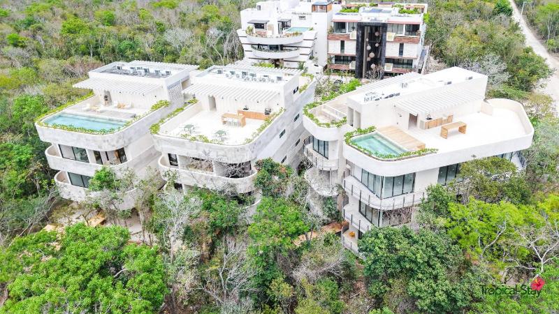 Kaabin Jungle Living C5 - image 19