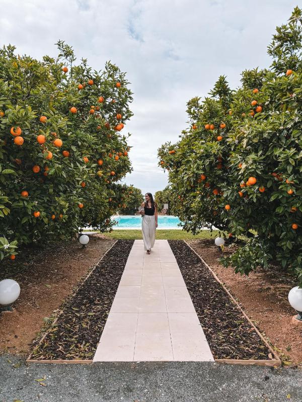 Quinta Dos Perfumes - image 20