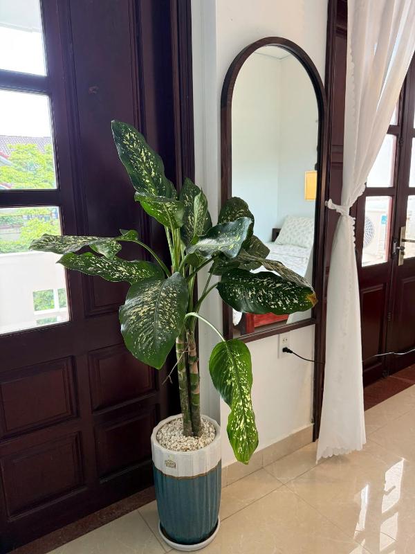 Green homestay King beds 5min from Hue city - image 11