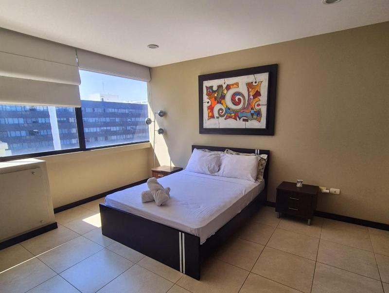 Suite Luxury en Puerto Santana - image 9