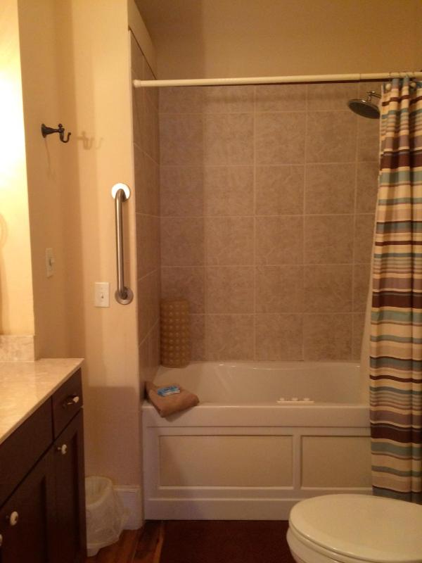 One-Bedroom Apartment image 2
