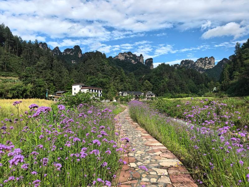 Xiangzixi Homestay-Inside the Park-no queues Enter-English Service-free Tour Itinerary Planning - image 36