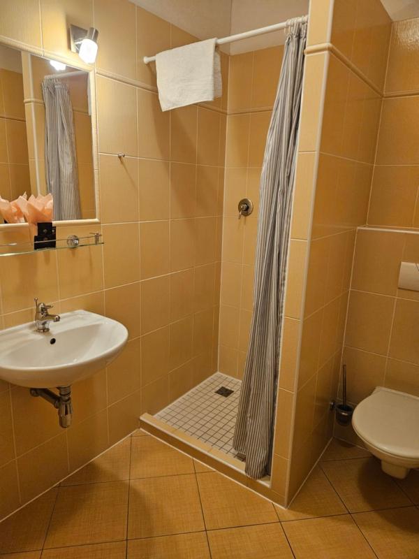 Single Room image 4