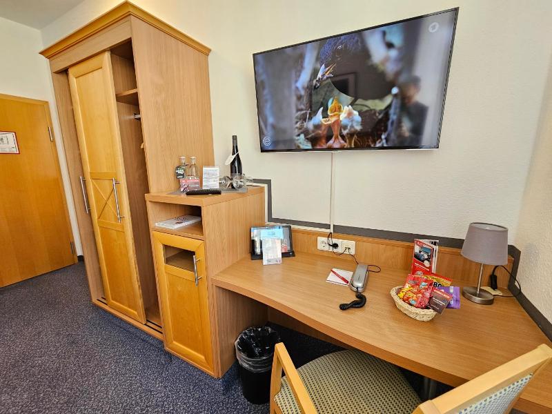 Standard Single Room image 4