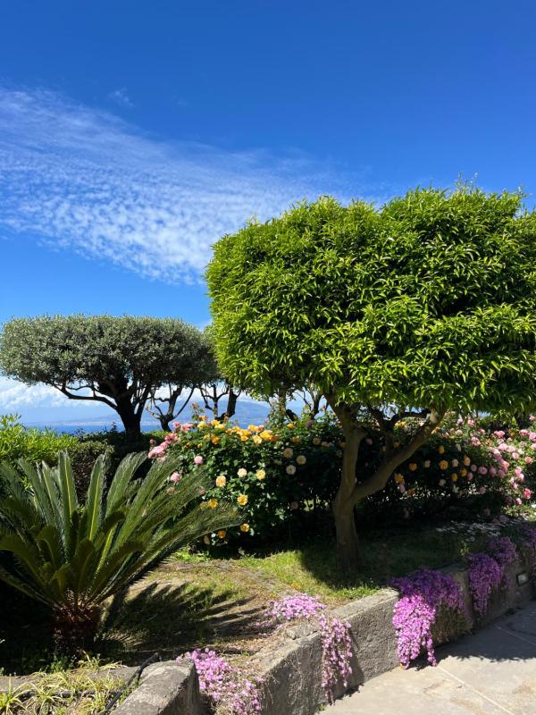 Sorrento Garden - image 17