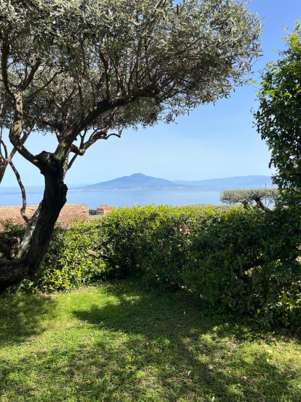 Sorrento Garden - image 18