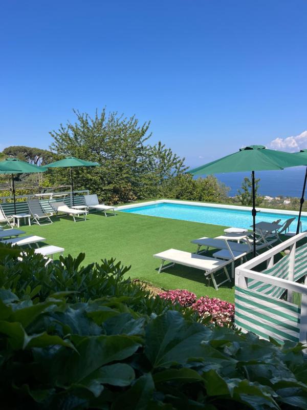 Sorrento Garden - image 36
