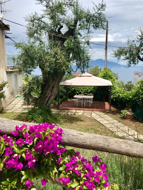Sorrento Garden - image 42