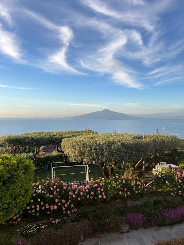 Sorrento Garden - image 5