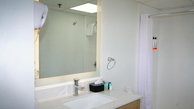 Deluxe Queen Room image 4