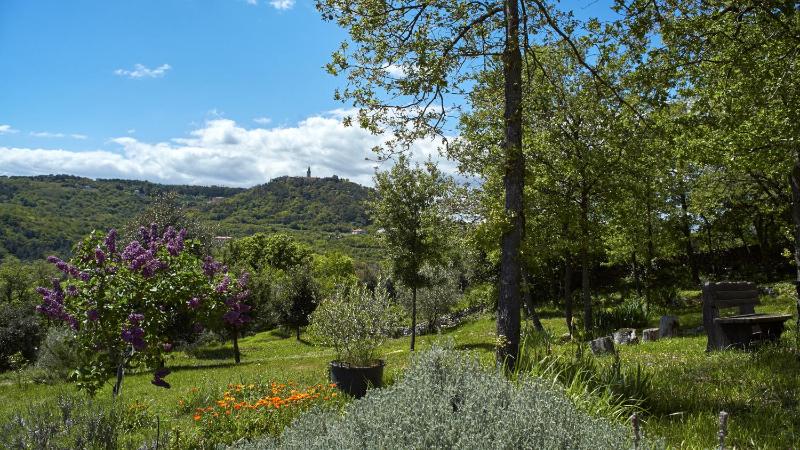 Villa Vires - image 43