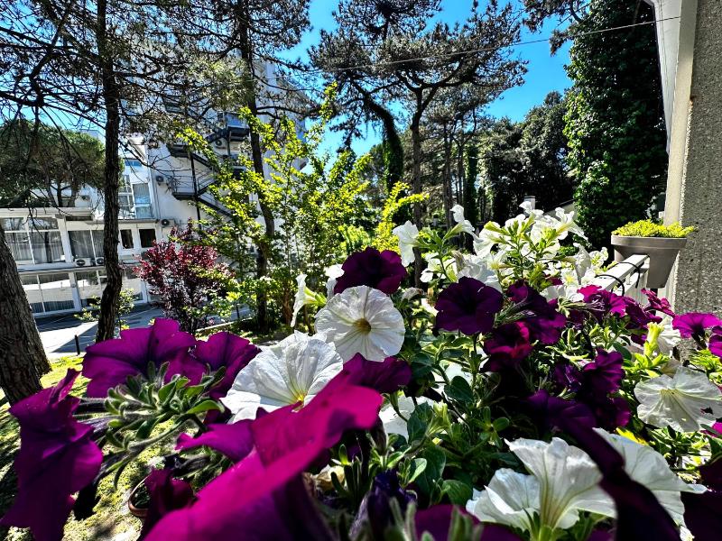 Villa Greif Pineta Apartment - image 12