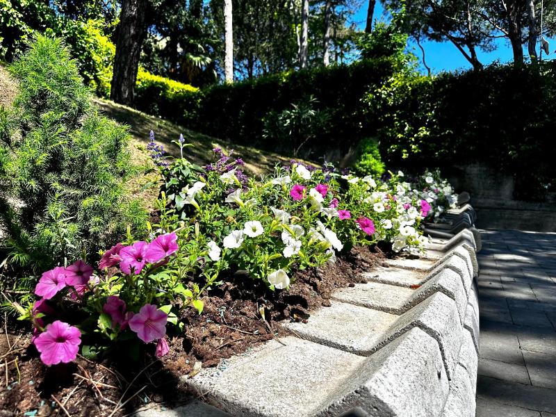 Villa Greif Pineta Apartment - image 38