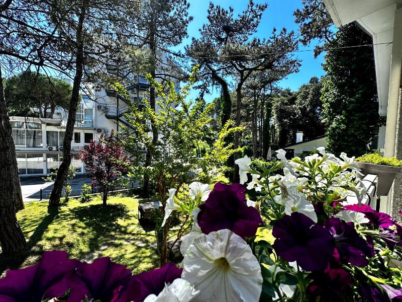 Villa Greif Pineta Apartment - image 33