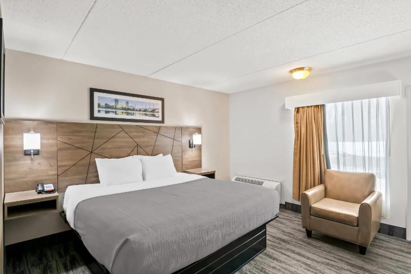 King Room - Non-Smoking image 1