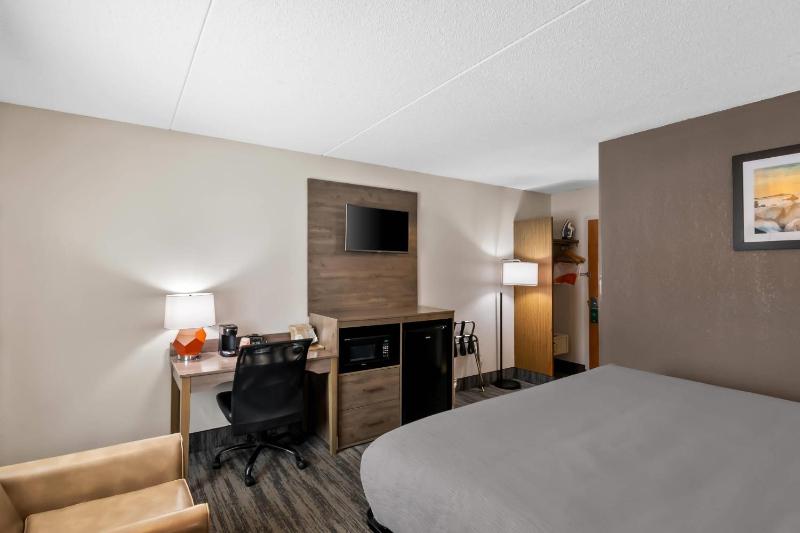 King Room - Non-Smoking image 3