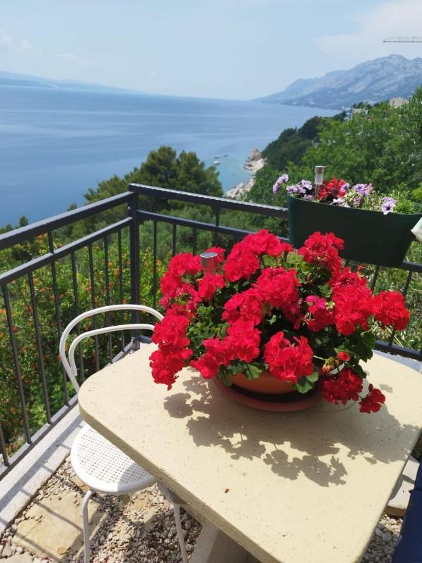 Apartments Mare - image 40