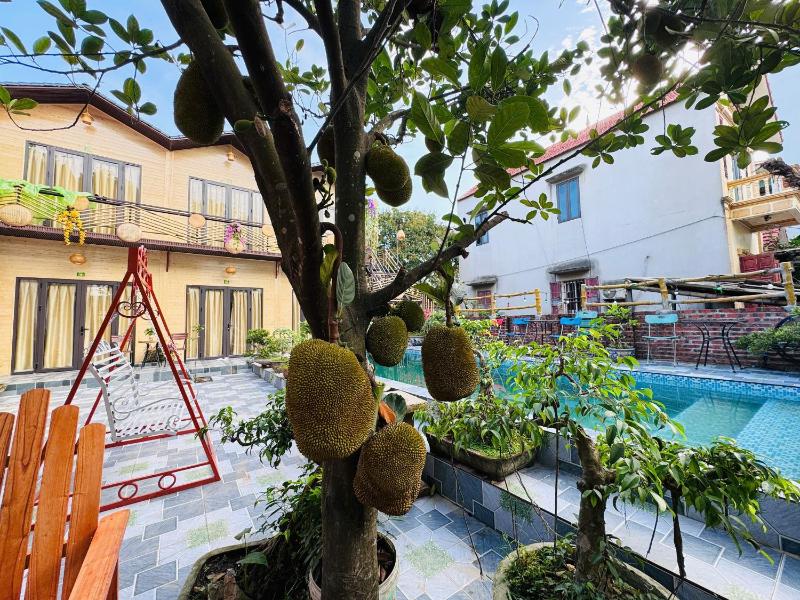 Tamcoc De Master Lux Bungalow & Restaurant - image 2