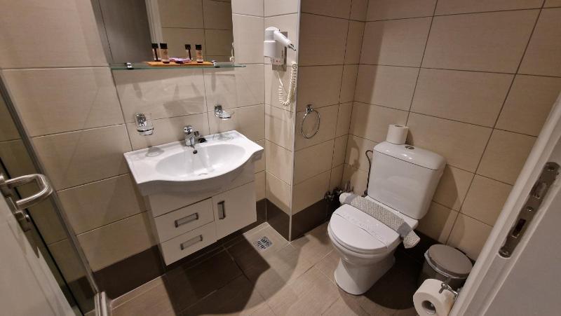 Double or Twin Room (2 Adults + 1 Child) image 3